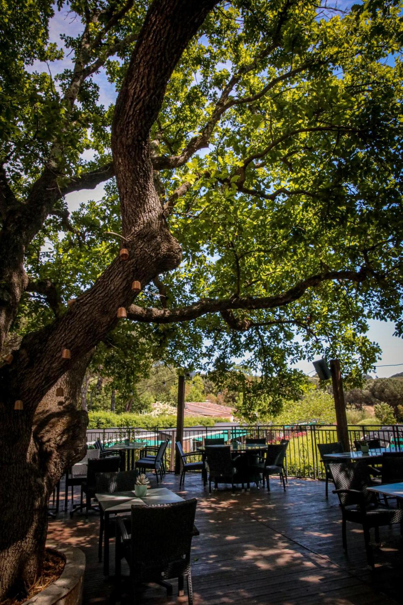 Domaine De Verdagne Gassin Bagian luar foto