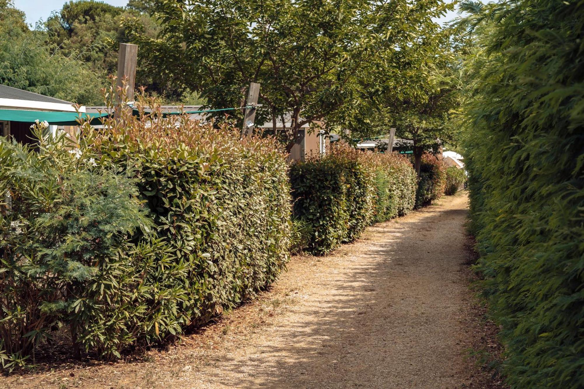 Domaine De Verdagne Gassin Bagian luar foto